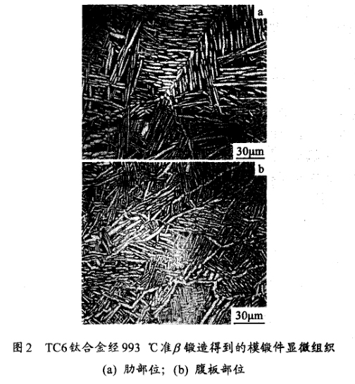 TC6鈦合金經993 ℃準鍛造得到的模鍛件顯微組織(a) 肋部位；(b) 腹板部位